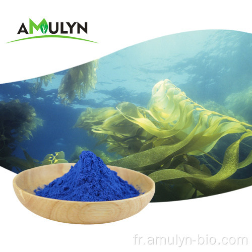 Colorant alimentaire naturel en poudre de phycocyanine de spiruline bleue